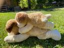 Lot de 2 peluches