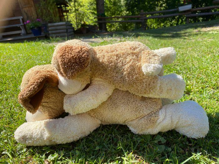 Lot de 2 peluches - photo numéro 1