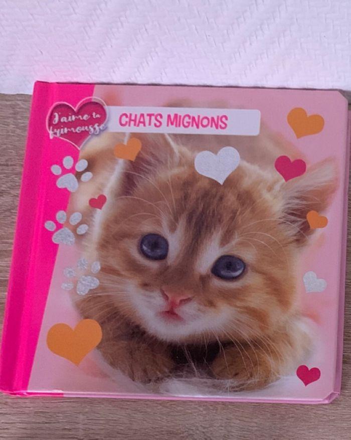 Livre chat