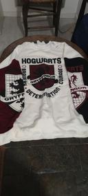 Ensemble pyjama Harry Potter neuf TXS ou 14 ans