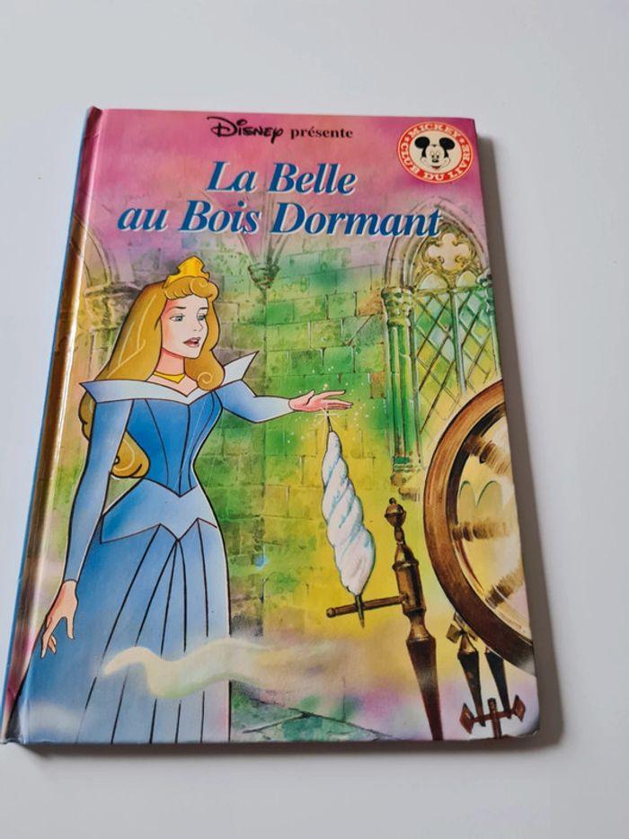 📘 Livre disney la belle aux bois dormant - photo numéro 1