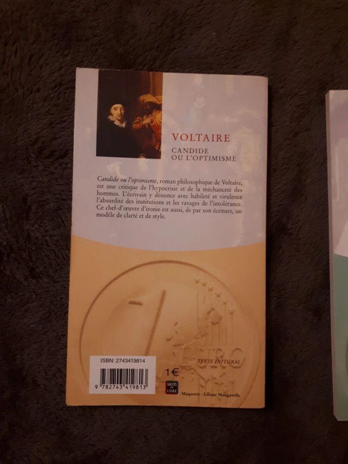 Lot 2 livres de Voltaire, Zadig ou la destinée, Candide ou l'optimiste - photo numéro 4