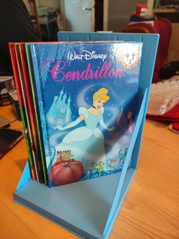 Collection livre Disney - photo numéro 4