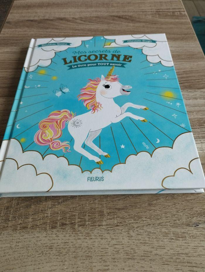 Livre mes secrets de licorne - photo numéro 1