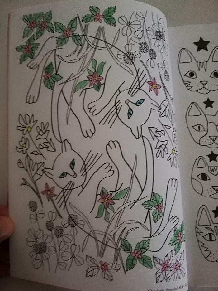 Chat thérapie 100 coloriages anti-stress. - photo numéro 4