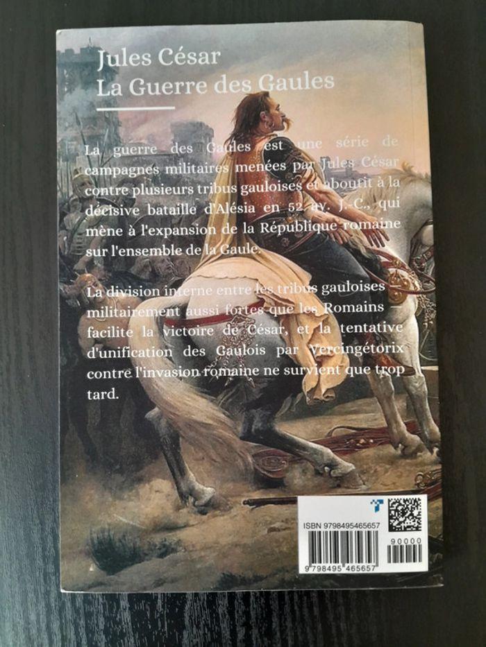 La guerre des gaules - photo numéro 2