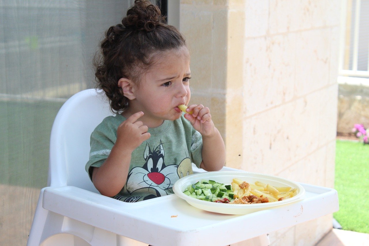 La Dme Ou Diversification Alimentaire Menee Par L Enfant Beebs Achat Et Vente D Occasion Bebe